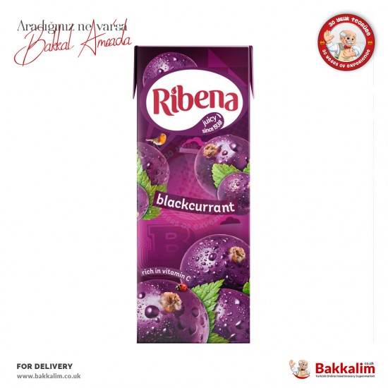 Ribena Frenk Üzümü Meyve Suyu 250 ml - 5054267006102 - BAKKALIM UK