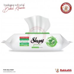 Sleepy Pine Freshness Surface Cleaning Wipes 100 Sheets