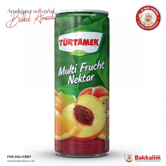 Tamek 250 ml Multi Fruit Nectar Juice Drink - 8690575000042 - BAKKALIM UK
