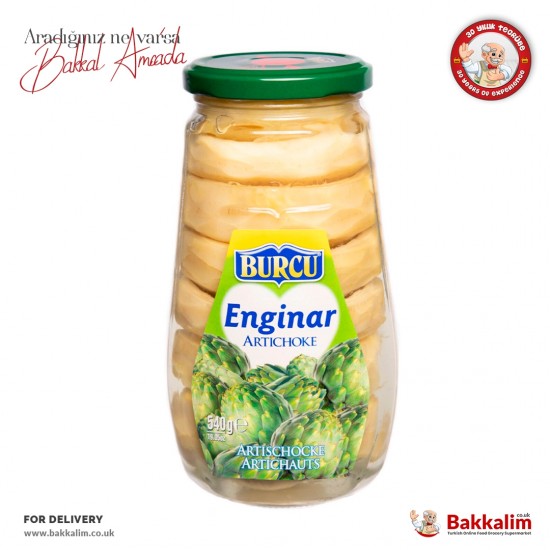 Burcu 540 G Artichoke - 8691573024146 - BAKKALIM UK