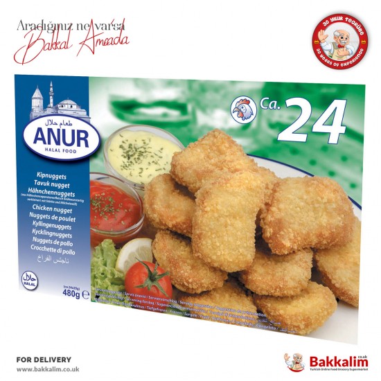 Anur 480 G Chicken Nugget Pack in 24 Pcs - 8716221000102 - BAKKALIM UK