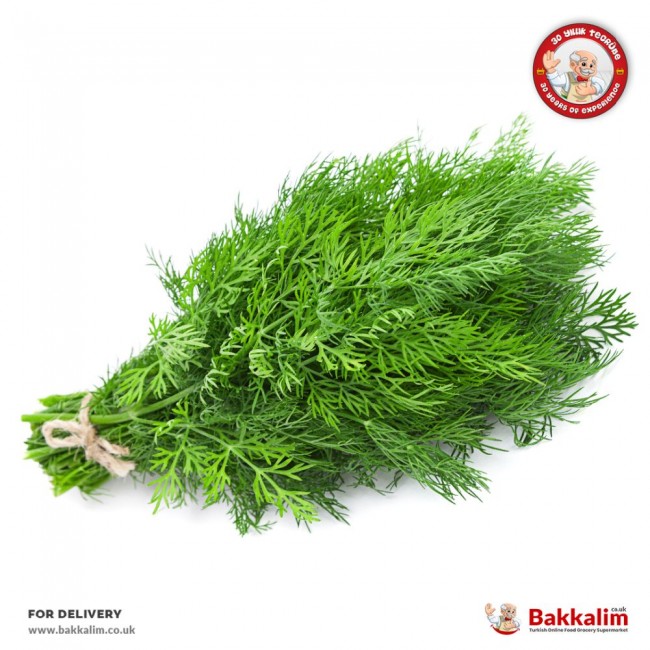 Daily Fresh 1 Bunch Dill Krebs Daily Fresh 1 Bunch Dill Krebs