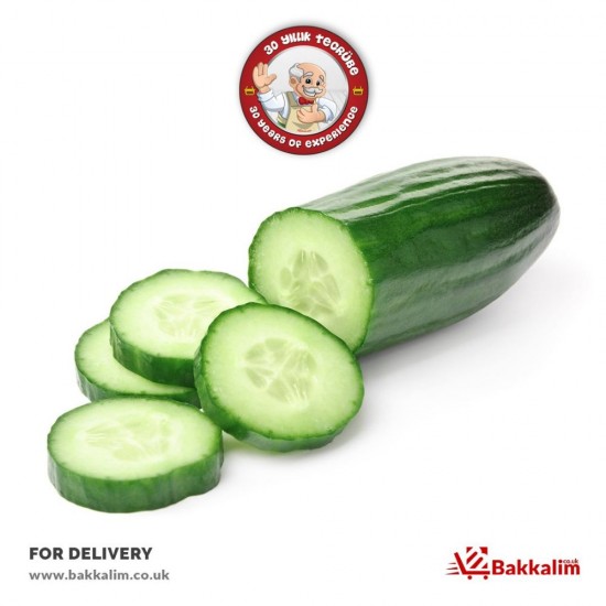 Fresh 2 Pieces Long Cucumber - BKL-MYV-SBZ-SL - BAKKALIM UK