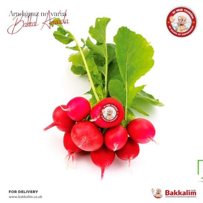 Fresh 300 Gr Red Radish Fresh 300 Gr Red Radish