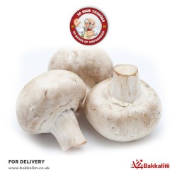Fresh 500 Gr Mushroom
