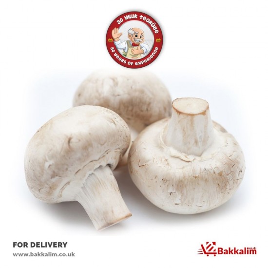 Fresh 500 Gr Mushroom - BKL-MYV-SBZ-MN - BAKKALIM UK