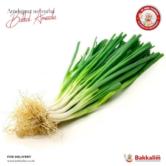 Spring Onions 1 Batch -  - BAKKALIM UK